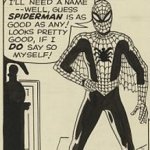 Ecco che fine hanno fatto le tavole del numero 1 di Spiderman